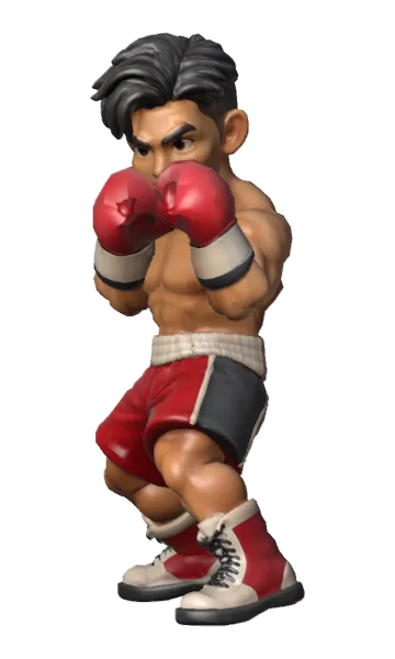 Nico Flash in boxing stance